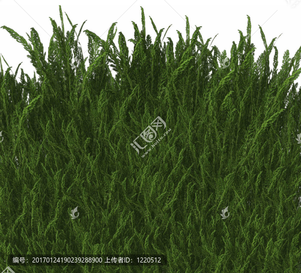 很酷的3D草
