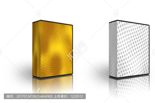 兩個空白的金色和白色蛇毛皮盒模板