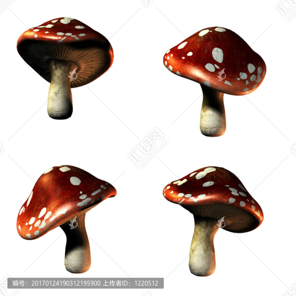 蘑菇在3D