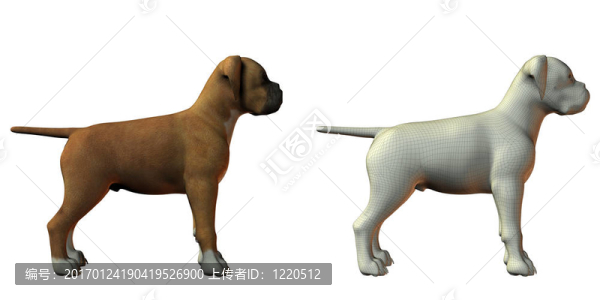 狗三維模型