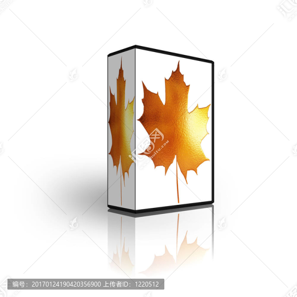 空白光盤盒模板