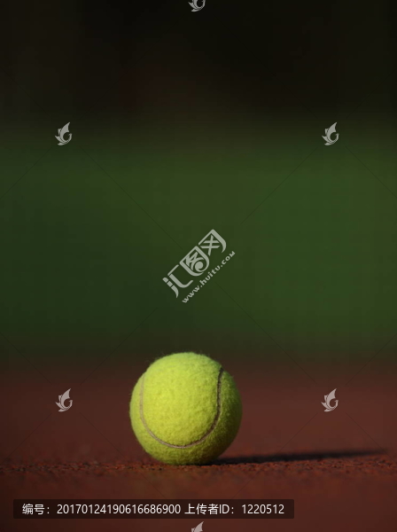 球場(chǎng)上的網(wǎng)球
