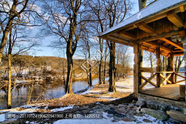 由老椴樹片段在日落的舊谷倉