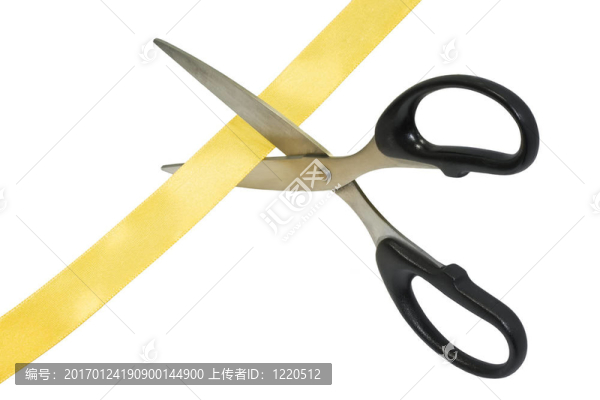 盛大的開(kāi)幕式
