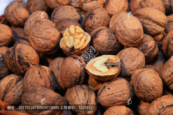 核桃-匯圖網(wǎng) www.fosd68.com 核桃