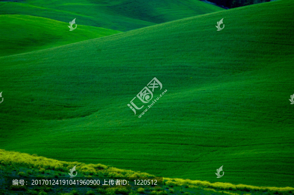 麥田綠地