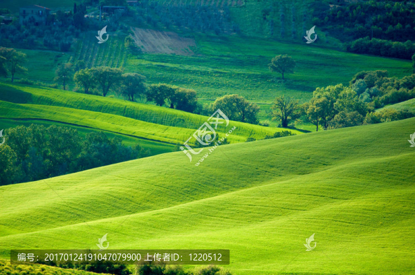 陽(yáng)光明媚的意大利領(lǐng)域-匯圖網(wǎng) www.fosd68.com 陽(yáng)光明媚的意大利領(lǐng)域