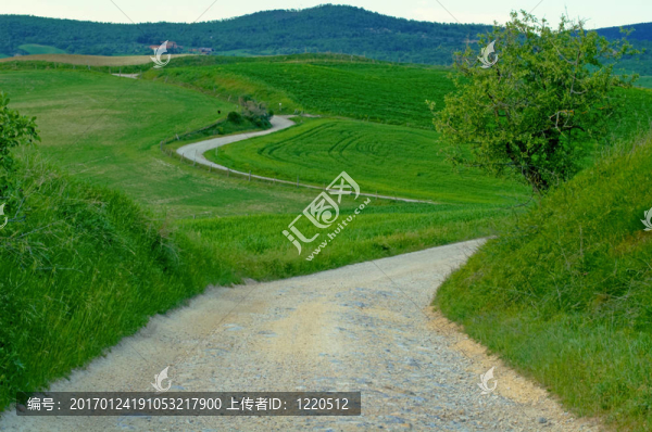 穿越托斯卡納的碎石路