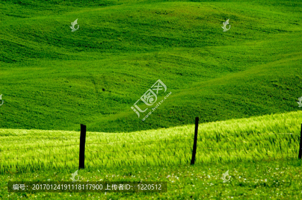 意大利領(lǐng)域