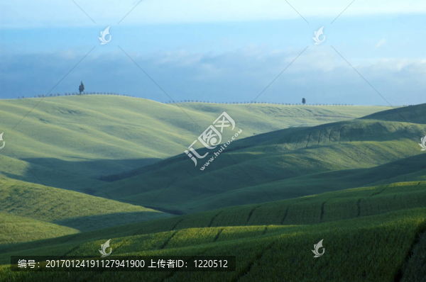 麥田綠地