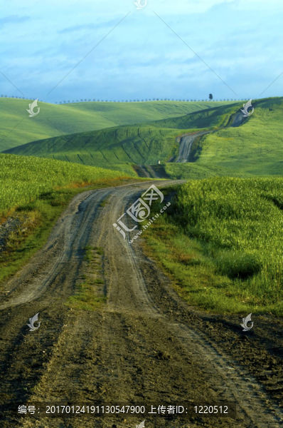 碎石路穿過綠色麥田