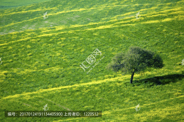 意大利領(lǐng)域-匯圖網(wǎng) www.fosd68.com 意大利領(lǐng)域