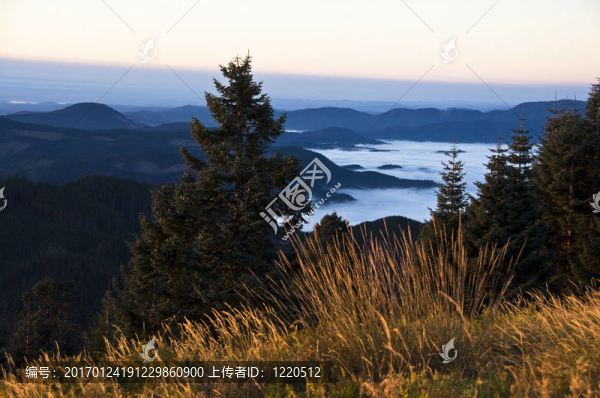 在Willamette山谷的日出；或