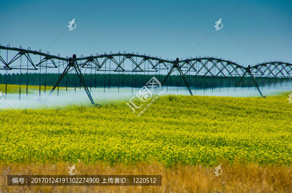 灌溉系統(tǒng)。