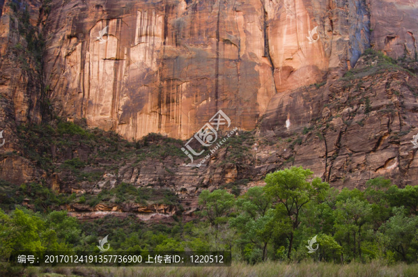 懸崖的Zion-匯圖網(wǎng) www.fosd68.com 懸崖的Zion