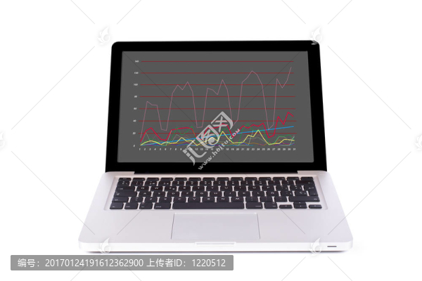筆記本電腦業(yè)務(wù)報(bào)告