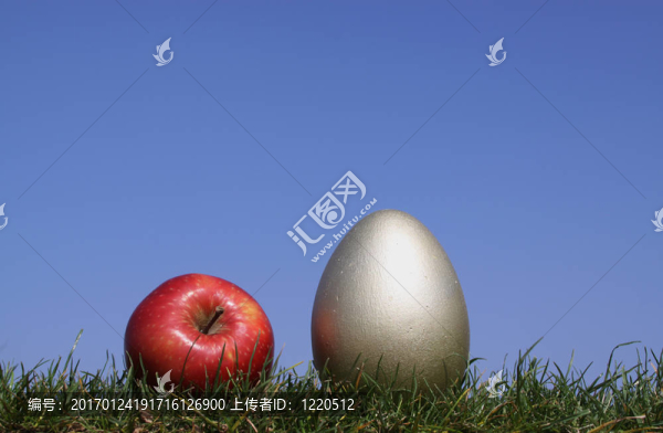 蘋果和一個雞蛋