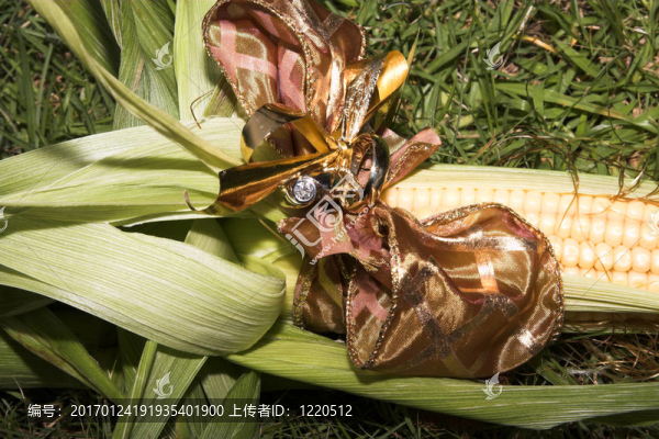 結(jié)婚戒指-匯圖網(wǎng) www.fosd68.com 結(jié)婚戒指