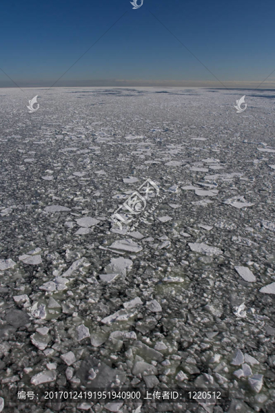 波羅的海的春天