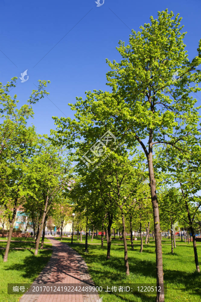 陽春市-匯圖網(wǎng) www.fosd68.com 陽春市