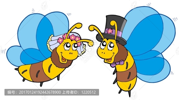 蜜蜂新婚夫婦