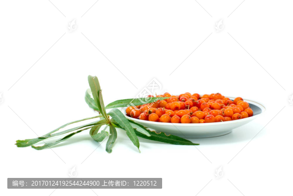 瓷碟充滿沙棘漿果和樹葉