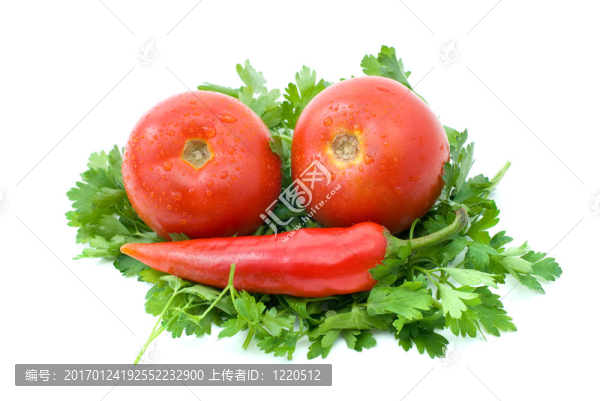 兩個熟番茄和紅辣椒在一些香菜