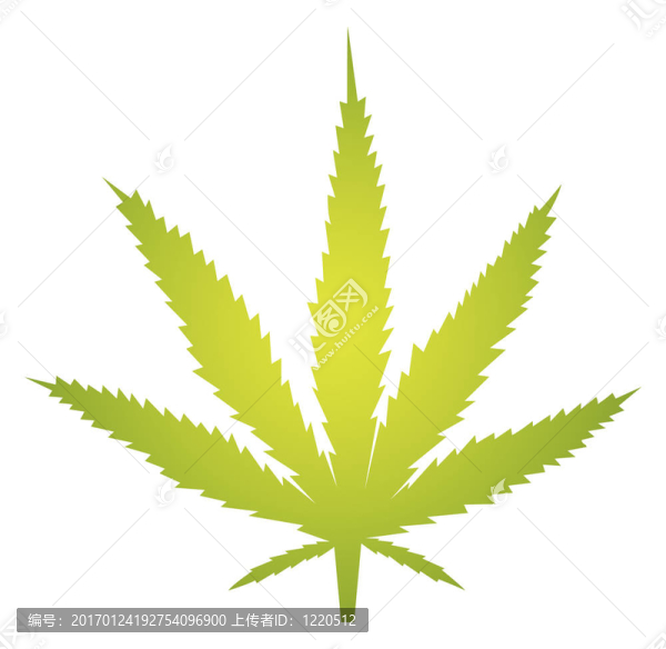 大麻葉插圖