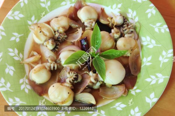 辛辣的亞洲魷魚(yú)