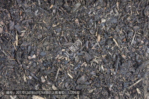 花園的灌封堆肥