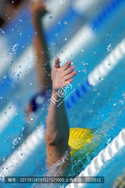 游泳運(yùn)動(dòng)員