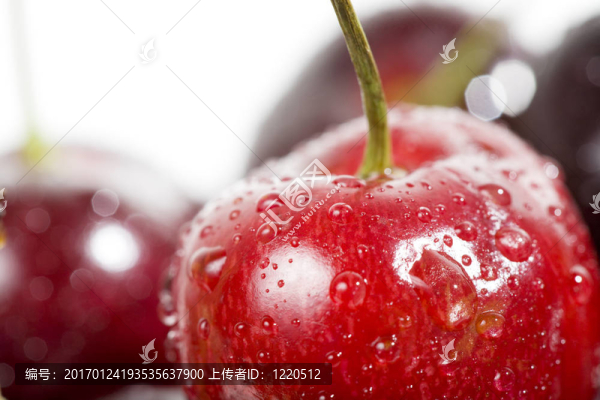 櫻桃