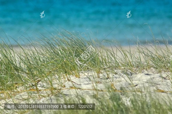 澳大利亞的海灘