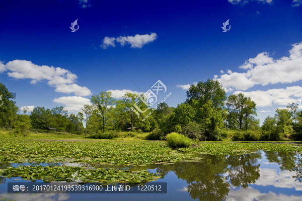 夏天的風(fēng)景