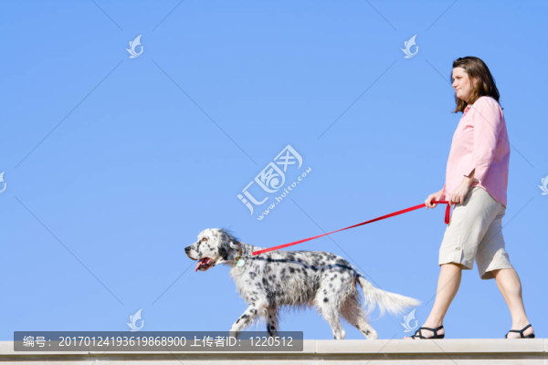 和狗的女孩