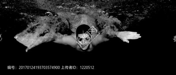 游泳-匯圖網(wǎng) www.fosd68.com 游泳