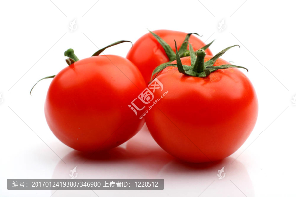 西紅柿