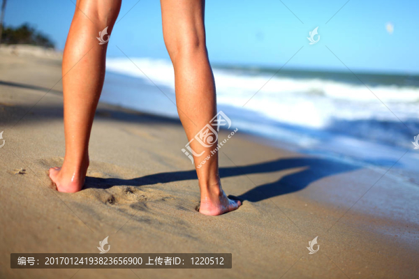 看到海洋