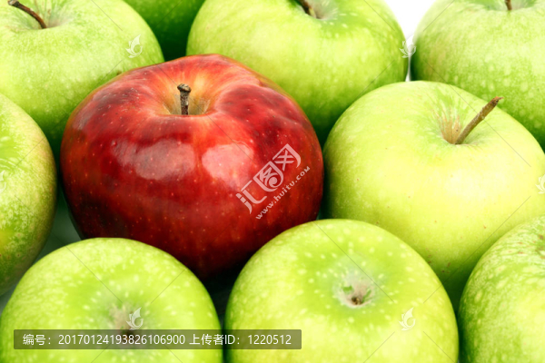 紅蘋果和綠蘋果-匯圖網(wǎng) www.fosd68.com 紅蘋果和綠蘋果
