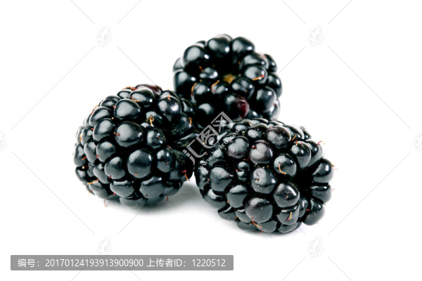 黑莓