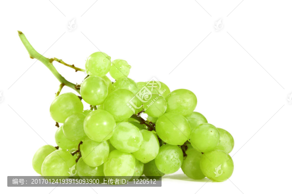 綠色的葡萄-匯圖網(wǎng) www.fosd68.com 綠色的葡萄
