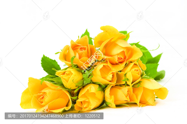 一束花