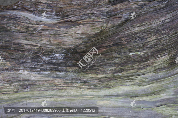 風(fēng)化紅雪松BKGD-匯圖網(wǎng) www.fosd68.com 風(fēng)化紅雪松BKGD