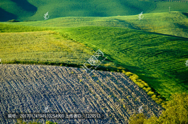 意大利領(lǐng)域