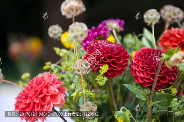 花束-匯圖網(wǎng) www.fosd68.com 花束