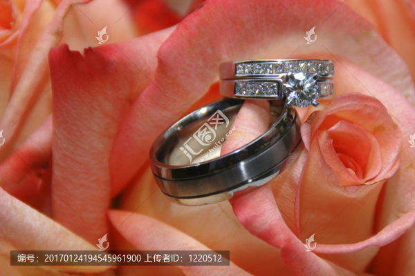 玫瑰上的結(jié)婚戒指