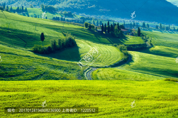 意大利領(lǐng)域