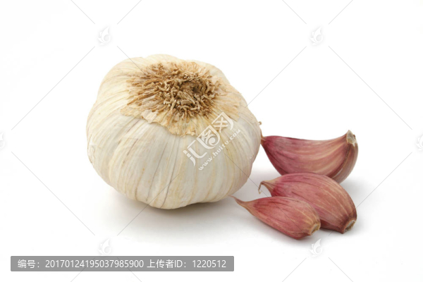 大蒜-匯圖網(wǎng) www.fosd68.com 大蒜