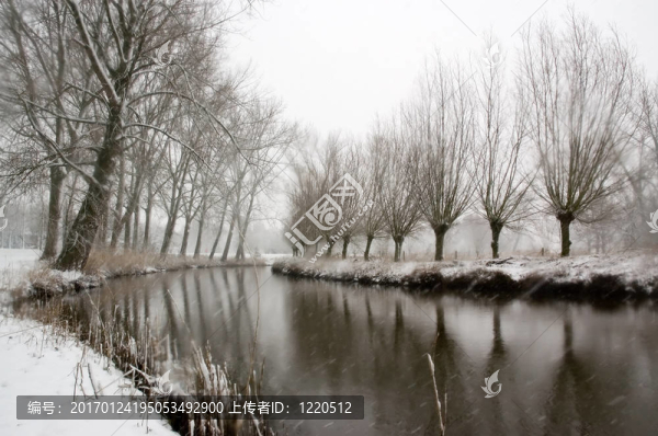 冬季景觀