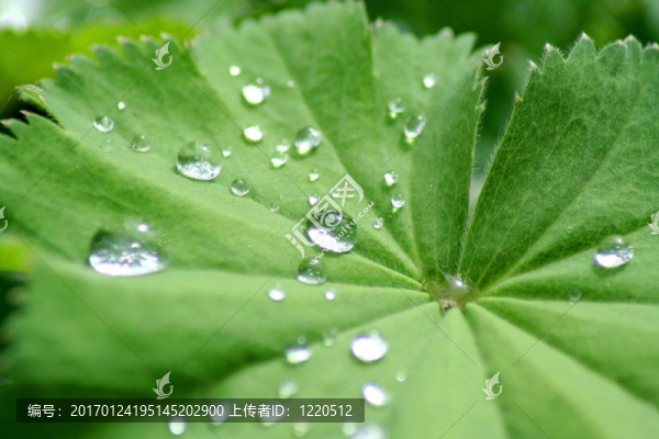 水滴